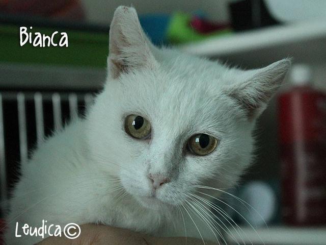 Buona vita Bianca!